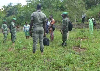 Ogou/ Bilan à mi-parcours de la campagne de reboisement 2022 dans les plateaux: