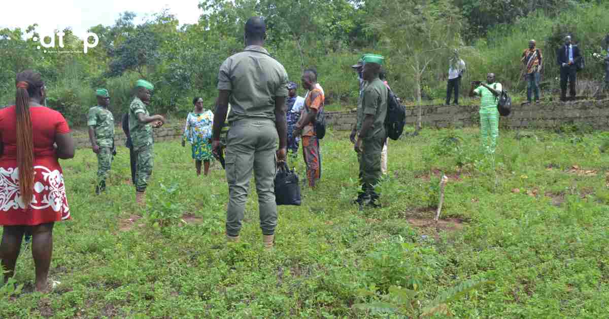 Ogou/ Bilan à mi-parcours de la campagne de reboisement 2022 dans les plateaux: 1 Oliver 11 Compressmyimage.com