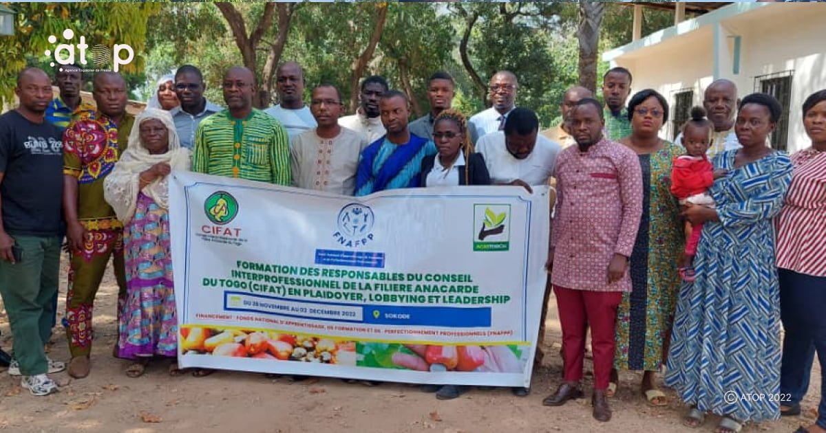 Développement de la filière anacarde au Togo : des acteurs des cinq régions en formation sur le plaidoyer, lobbying et le leadership à Sokodé 1 Atop.tg Developpement de la filiere anacarde au Togo