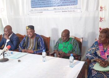Techniques de make up Elit :  des artisans des savanes se forment à Dapaong