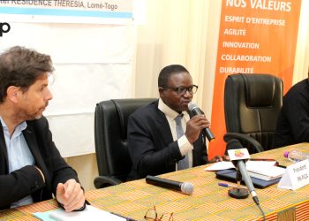 Filière cotonnière africaine:  des acteurs de huit pays échangent sur les infestations des Jassides