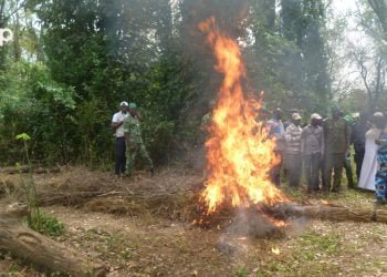 Environnement /  La campagne nationale de lutte contre les feux de végétation lancée à Asrama
