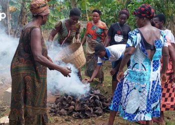 Café et cacao : le rôle prépondérant des femmes dans la chaine de valeur et dans la production