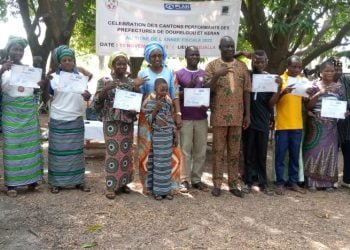 Protection des droits des enfants et jeunes : Plan international Togo célèbre les cantons performants
