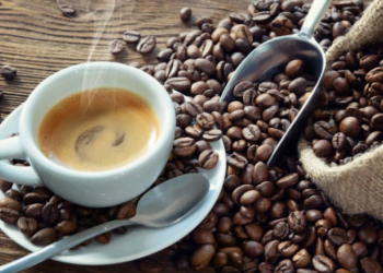 Le guide du café sera présenté à l’organisation interafricaine du café