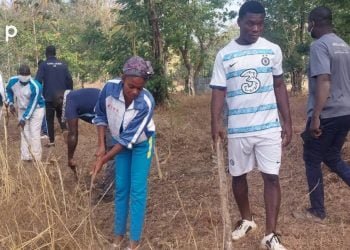 Environnement : la jeunesse du parti UNIR fait des pare-feux sur le site de reboisement de la commune de Tchamba 1