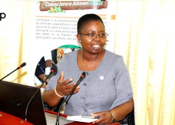 Santé-alimentation : INADES-Formation Togo dénonce les dangers de l’utilisation des intrants chimiques de synthèse