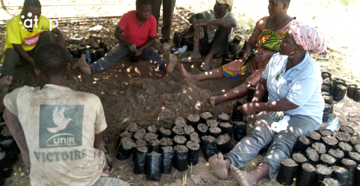 Amou : des producteurs de café-cacao formés sur les techniques de production des plants 1 Atop.tg des producteurs de cafe cacao formes sur les techniques de production des plants
