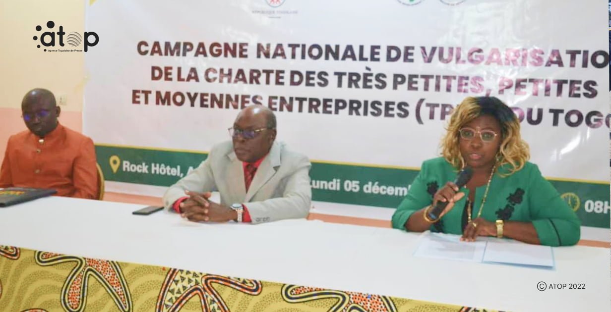 Atop.tg la nouvelle charte des tres petites et moyennes entreprises vulgarisee a Atakpame
