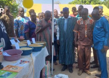 Promotion de la consommation locale : la première foire aux semences paysannes au Togo lancée Kassena