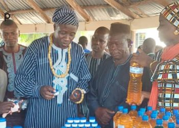 Tchaoudjo/promotion des activités socioéducatives : plus de cent jeunes formés sur les activités génératrices de revenus à Sokodé