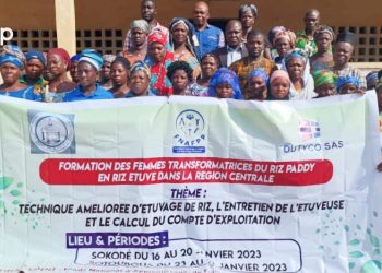 Tchaoudjo/étuvage du riz paddy : des membres des coopératives renforcent leurs capacités