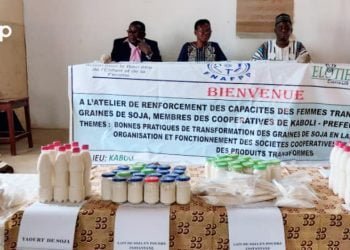 Tchamba/ Activités génératrices de revenus : des femmes transformatrices de soja renforcent leurs capacités à Kaboli