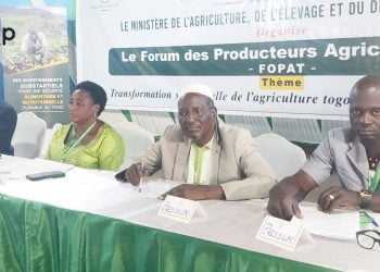 Tone : les activités du forum des producteurs agricoles du Togo se poursuivent dans la région des Savanes