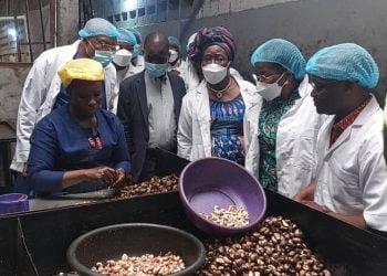 Développement inclusif : la cheffe du gouvernement en visite à Tchamba