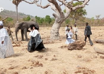 Culture / défilé « Solim mode » : la 3è édition au parc des éléphants de Djamdè