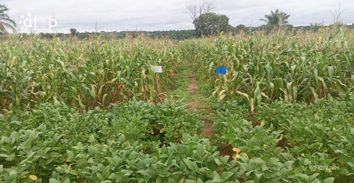 Exigences et enjeux de l’agriculture durable 1 Atop.tg Exigences et enjeux de lagriculture durable 3