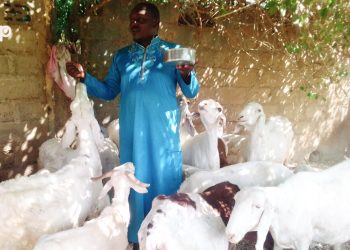 La cooperative “Djintou bio” resolument engagée dans la promotion de l’élevage biologique