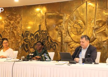 Promotion et attraction des investisseurs : des acteurs togolais échangent avec les chefs d’entreprises britanniques à Lomé