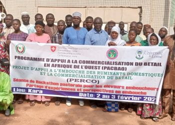 Kozah/ Embouche et la commercialisation du bétail : des éleveurs du septentrion partagent leurs expériences et innovations
