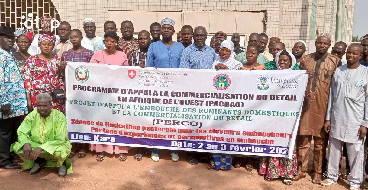 Atop.tg des eleveurs du septentrion partagent leurs experiences et innovations