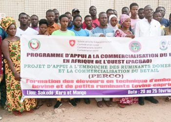 Kozah/appui à l’embouche des ruminants domestiques et la commercialisation du bétail : des éleveurs renforcent leurs capacités en techniques d’embouche à Kara