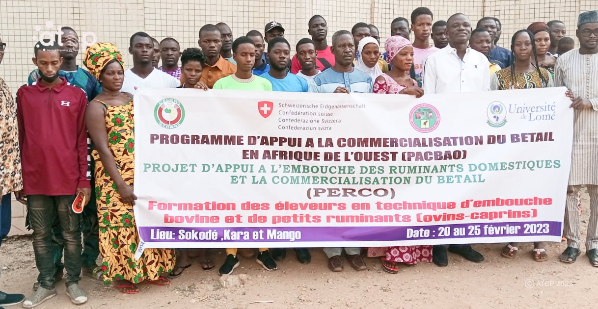 Atop.tg des eleveurs renforcent leurs capacites en techniques dembouche a Kara