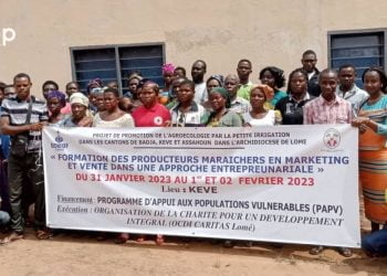 Avé/marketing : des maraichers et producteurs d’ananas en formation à kévé