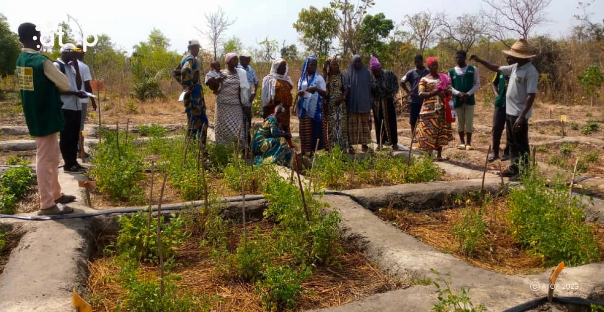 Atop.tg la cooperative Fezirewogoni a lecole de la ferme Albarka