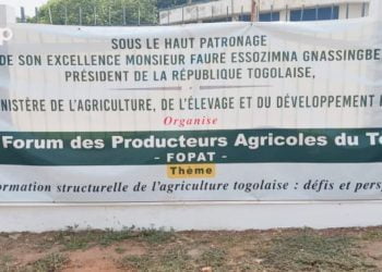 Transformation structurelle de l’agriculture togolaise : le FOPAT de la Centrale s’ouvre ce jeudi à Sokodé