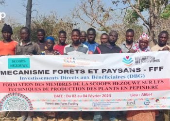 Tchamba/ Production des plants en pépinière : les membres de la coopérative Hèzouwé formés sur les techniques