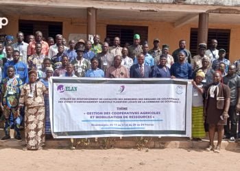 Zone d’aménagement agricole planifiée : les membres des organes de gouvernance de Doufelgou 1 en formation