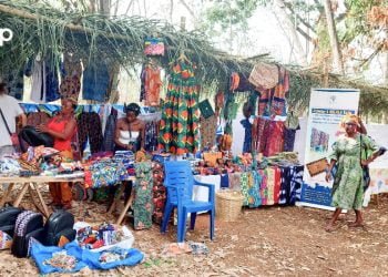 Promotion de l’agriculture bio : un festival de conscience lancé à Agou-nyogbo