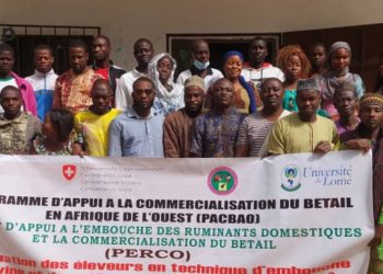 Techniques d’embouche des petits ruminants : trente-deux éleveurs de la Centrale en formation à Sokodé