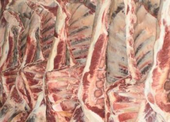 Production de la viande des petits ruminants :  qualité et hygiène, une nécessite pour préserver la santé des consommateurs