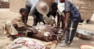 Production de la viande des petits ruminants : qualité et hygiène, une nécessite pour préserver la santé des consommateurs 2 Atop.tg qualite et hygiene une necessite pour preserver la sante des consommateurs 4