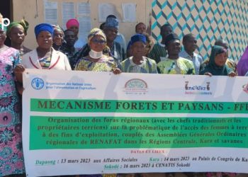 Tchaoudjo/accès de la femme à la terre : un forum régional du RENAFAT a planché sur la problématique à Sokodé