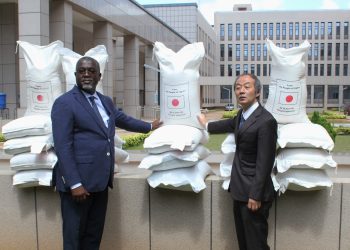 Coopération financière:  le Japon fait don d’engrais et de riz au Togo