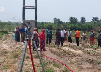 Tchaoudjo : le site agroécologique de la coopérative « Fézéréwogoni » doté d’un système d’irrigation