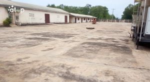 La ferme semencière de Sotouboua après 63 ans d’indépendance 3 Atop.tg La ferme semenciere de Sotouboua apres 63 ans dindependance 1