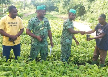 Kloto/campagne nationale de reboisement :  l’ONG Graine de Vie  distribue des plants à des producteurs
