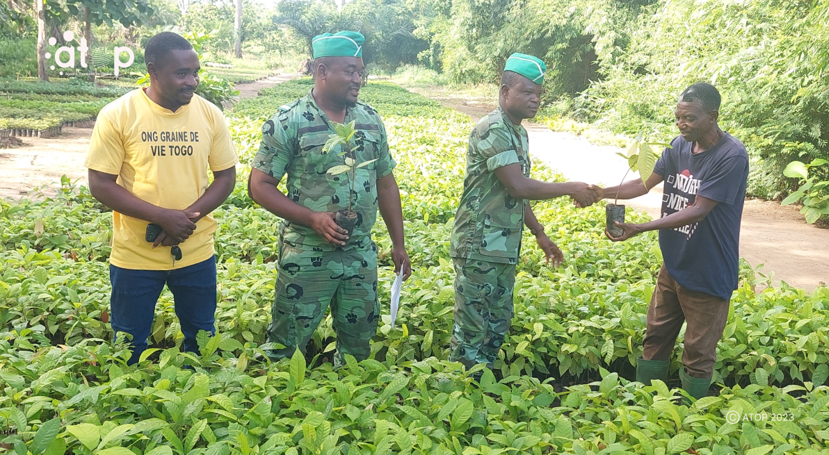 Atop.tg lONG Graine de Vie distribue des plants a des producteurs