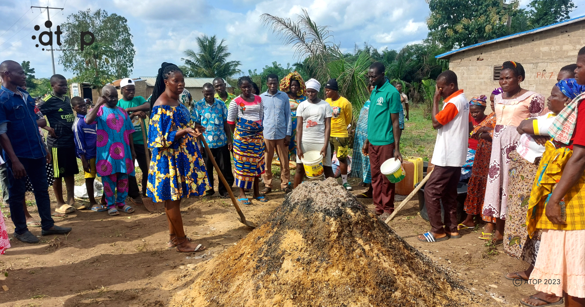Atop.tg de jeunes agriculteurs formes sur lagroecologie et lagriculture biologique