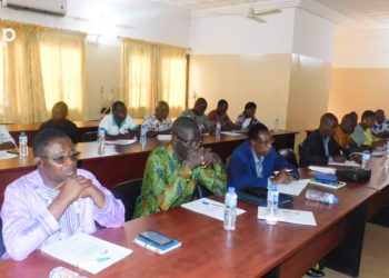 Ogou/protection des populations contre les rayonnements non ionisants : des maires éclairés sur le cadre règlementaire
