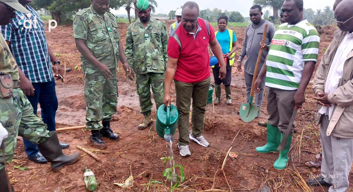 Atop.tg la journee de larbre observee a Tsevie