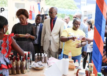 Économie : la journée internationale des MPME célébrée à Lomé