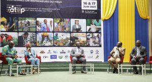 Atop.tg 3000 jeunes participent au 1er congres national des jeunes entrepreneurs du Togo 2