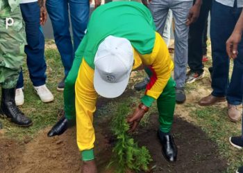 Tchaoudjo/campagne nationale de reboisement :  633 plants mis en terre sur le site du village Doha à Tchalo