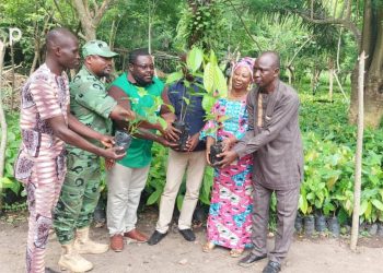 Kloto/relance de la filière café et cacao :  80.800 jeunes plants mis à la disposition des producteurs