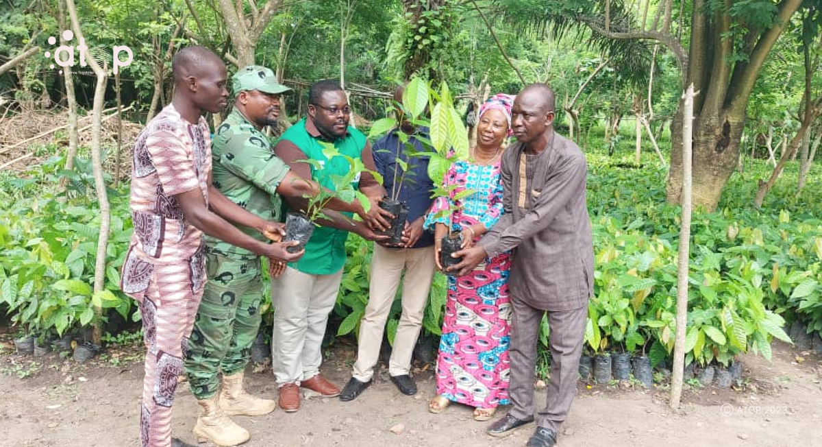 Atop.tg 80.800 jeunes plants mis a la disposition des producteurs